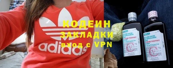 прущие грибы Алзамай