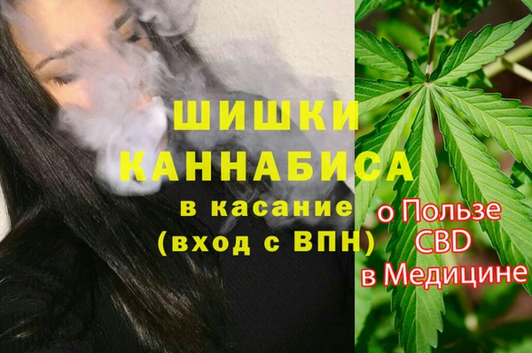 сатива Аркадак