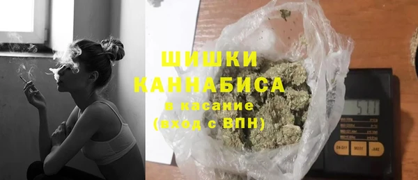 сатива Аркадак