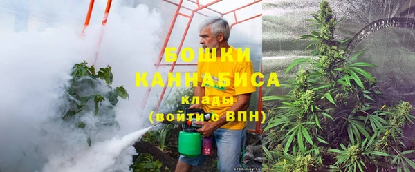 сатива Аркадак