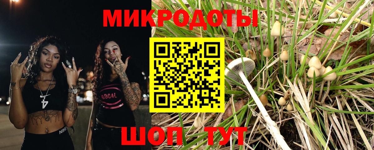 Псилоцибиновые грибы Psilocybine cubensis  Псилоцибиновые грибы мухоморы  Белово  Вход с VPN 